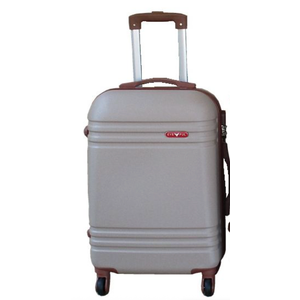 EyeFul Carry Bag 21"H x 8.5"W