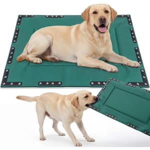 Colingmill Chew Proof Indestructible Dog Crate Bed, Green, 41” X 28”