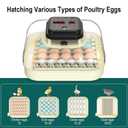 CoInceptus 35 Egg Incubator with Automatic Egg Turning and Humidity Control, Incubator for Chicken Eggs, Quail, Duck Eggs, with Egg Candler