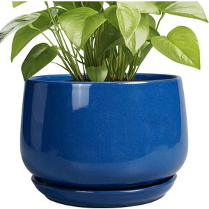G EPGardening Ceramic Pots for Plants, 9 Inch Modern Round Planter with Drainage and Tray Indoor Outdoor for Flower, Patio Decor, Housewarming Gifts, Blue