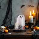 Halloween Decorations Indoor, Ghost Decor Lighted Ghost in Plastic Dome Cloche, Halloween Decor Cute Spooky Ghost Decor for Tabletop Mantel Display