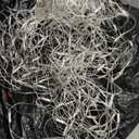 3/16" Knit Elastic - White - Bulk 500 Yards Fabric