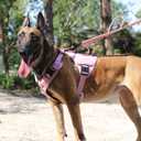 ICEFANG GN8 Tactical Dog Harness for X-Large Sized Dogs,Full Metal Buckles,Reflective in Training Walking K9 Dog Vest,No-Pull Front Leash Clip,Adjustable Pet Harness (Pink, XL (Pack of 1))