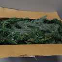 HomeKaren Christmas Garland 9 Ft by 12 Inch Prelit Fraser Fir Xmas Garland with 50 LED Lights 550 Tips, Real Like Lush and Classics Green Style for Indoor Outdoor Home Decoration