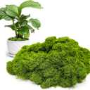 4 x Aspamms Fake Green Moss for Potted Plants Indoor, 5.3oz Artificial Moss for Crafts, Faux Moss Decor for Fairy Garden, DIY Decorative, Model Making, Walls, Glass Containers, Home