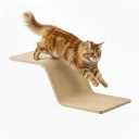 Cat Wall Shelves for Cat Wall Steps, Perch, Ladder, Wooden Floating Modern Mounted Space Saving Furniture with Scratching Cushion Removal Cover for Climbing, Jumping and Sleeping (Steps & Slide)
