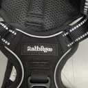 rabbitgoo Dog Harness No Pull with 2 Leash Clips, Adjustable Soft Padded, Reflective Oxford No Choke Pet Vest with Easy Control Handle for Medium Sized Dogs, Black, M
