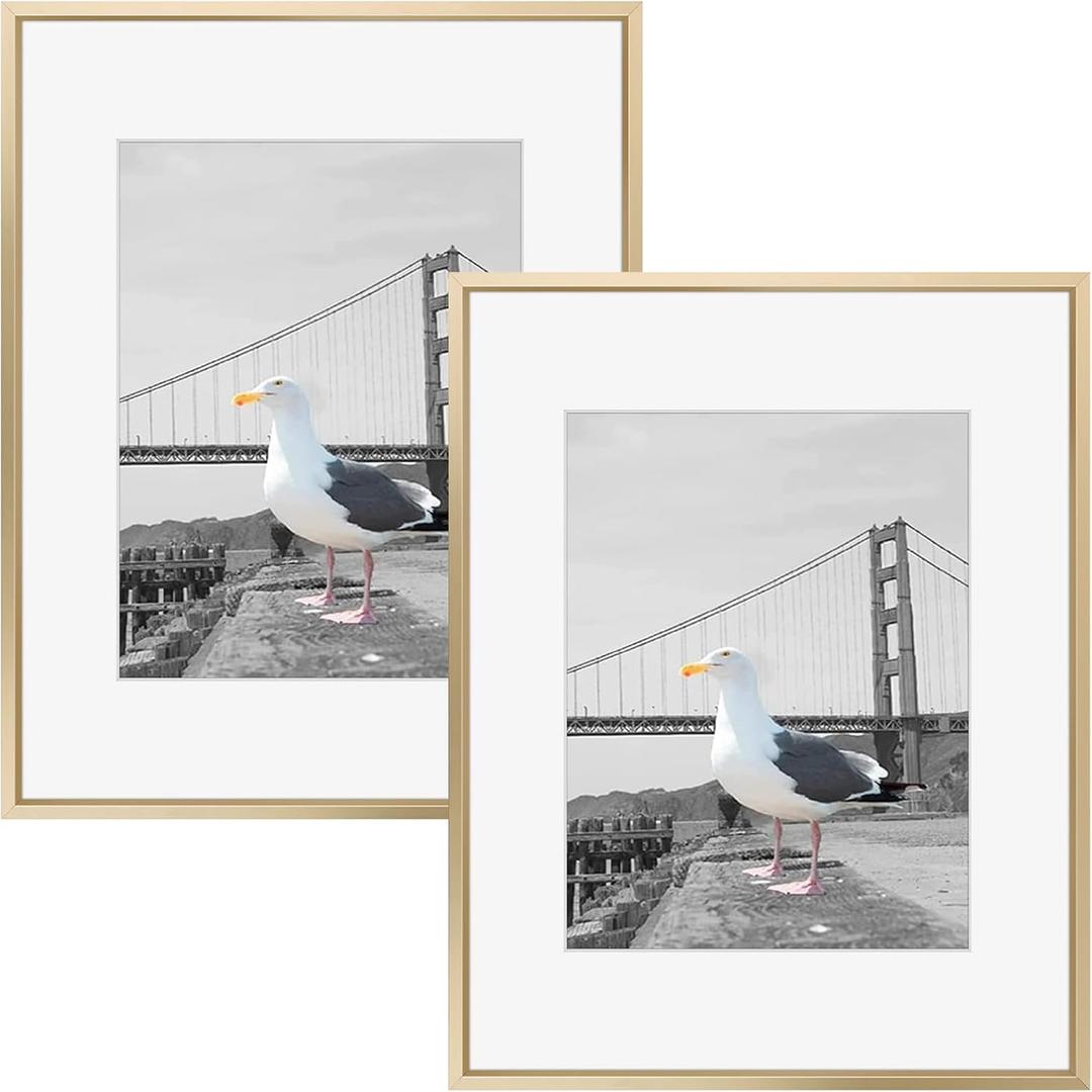 Frametory, 16x20 Metal Picture Frame with Mat for 11x14 Picture & Real Glass, Aluminum Photo Frame Collection (Gold, 2 Pack)
