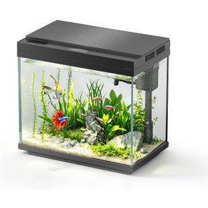3 Gal Glass Fish Tank Kit with Filter & Light