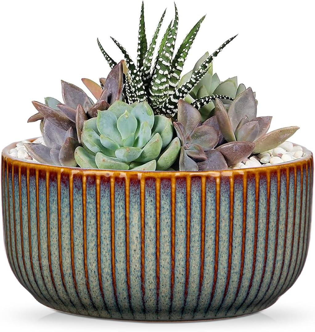 Plant Pots Indoor with Drainage Hole 6 inch Ceramic Plant Pot Sage Green Succulent Pot Small Round Planters for Indoor Outdoor Plants Bonsai Bowl Decorative Flower Pots for Orchid Cactus Snake Plant