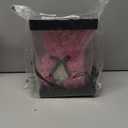 Double Couple Gift for Mom Women-Rose Cute Bear - Rose Adorable Teddy Artificial Bear - Best Gift for Valentines Day, Mothers Day, Anniversary, Birthdays- Clear Gift Box Included!10 Inches Tall (Pink)