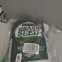 Pennington Kentucky 31 Tall Fescue Penkoted Grass Seed 7 lb