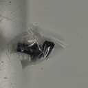 Wagner Sensors CF5129