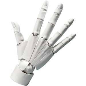 Hand Model, Adjustable Hand Model for Drawing, Lively Manikin Figure Hand Model for Desk Decoration, Sketching, Drawing, Painting (Right Hand-White)
