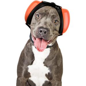 Dog Ear Muffs for Noise Protection, Noise Cancelling Headphones, 25dB NRR, Dog Ear Plugs for Hearing Protection from Thunder, Fireworks, Vacuums (M, Orange)