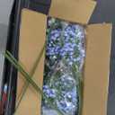 Elyum Babys Breath Artificial Flowers, 25 Pcs Baby Breath Flowers Fake Bulk