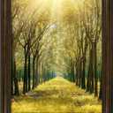 Space Art Deco, 16x20 Ornate Picture Frame Without Mat for 16x20 Photo,Shatter-Resistant Glass Sawtooth Hangers Wall Mount Display(Color Brown)