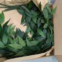 Ling's moment Italian Ruccus Greenery Stems Artificial Plants, 4Pcs 28" Tall Fake Branches Greenery, Realistic Texture Hanging Plant for Home Decor Wedding Bouquets Table Centerpieces, Room/Office