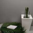 6FT Artificial Palm Tree, Tall Faux Palm Tree Indoor with Fake Plants Tall, Artificial Plants with Lifelike Leaves for Home Office Decor (White)