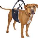 Mighty Paw Dog Lift Harness - 20-60 lbs Dog Hip and Hind Leg Support Sling - Comfortable Assistance for Elderly or Injured Pets with Hip and ACL Brace - Back Support Harness Carrying Sling - Medium