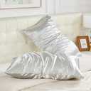 Pack of 2 NEWCOSPLAY Satin Pillowcase Standard/Queen 2 Pack Skin & Hair Care Silky Pillow Cover with Envelope Closure(Space Grey,20"x26")