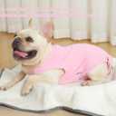 Dog Surgery Recovery Suit - After Spay, Abdominal Wounds Post Surgical Recovery, Anti Licking Breathable Dog Onesies for Small, Medium & Large Pet, Alternative Bandages Cone E-Collar (XL (Back length: 19.7")
