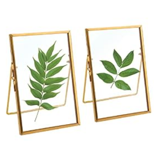 TLBTEK 2 Pcs 5x7 inch Desk double glass Photo frames kit, Gold brass metal Picture Frame vertical for Pressed Flowers, Clear DIY Vintage Artwork Display Frame