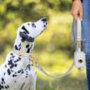 PET ARTIST Soft PU Leather Dog Collar for Small Dogs, Bright & Classic Nylon Padded Durable Dog Collar Leather with Quick Release Metal Buckle Adjustable for Male Dogs, Neck Fit 9-14"
