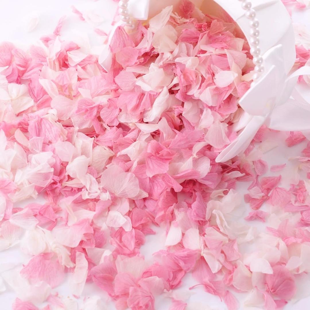 1500+ Real Dried Hydrangea Flower Petals -1.06Oz Real Natural Preserved Petals for Wedding, Party Confetti, Flower Girl Baskets, Romantic Night, Proposal Decor, Handcrafts (Pink & White)