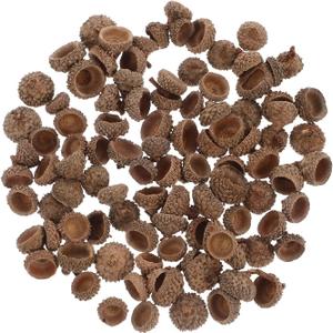 Ciieeo Crafts Vases Natural Acorns Bulk Real Rustic Acorns Caps for Craft Christmas Thanksgiving Pine Cone Ornament Winter Xmas Tree Wreath Vase Filler Decoration 100PCS Ornament Bulk