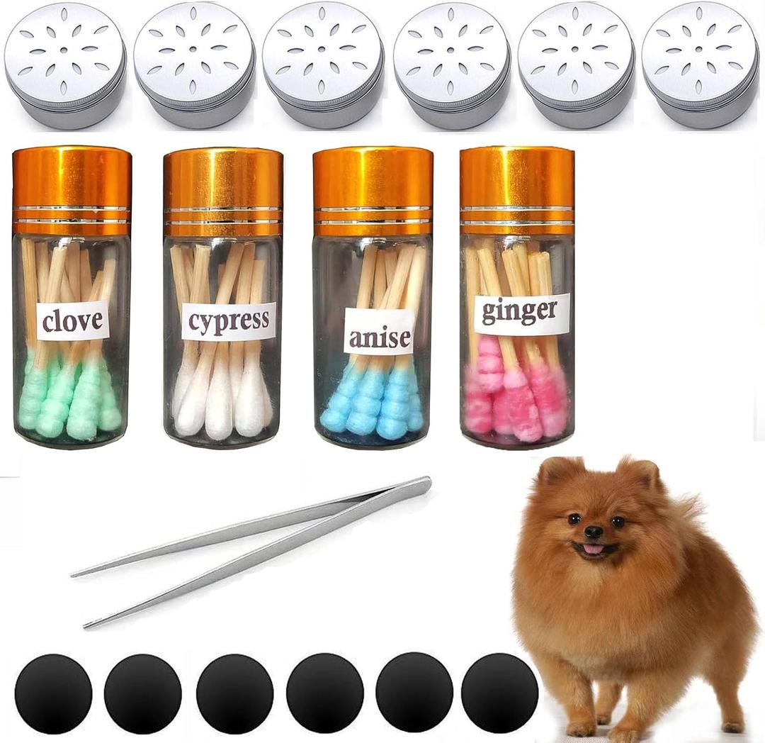 Dog Scent Work Starter kit in Anise, Birch, Clove vetiver Flavour Scent Training kit, Nose Work, Dogs scentwork Pure Oil-Jars Sets (4 Jars+6 Magnetic Box)