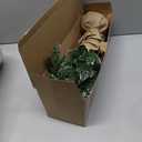 SENNOUL Small Christmas Tree with Lights,2ft Pre Lit Artificial Mini Xmas Tree for Tabletop,Outdoor,Bedroom,Office Decorations,Includes 50 Led Warm Lights,73 PVC Branch Tips,Green（Battery Operated）