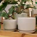 April Ceramic Planter, 3 Pack