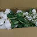 InnoGear 50 Pcs White Roses Artificial Flowers, Fake Velvet Silk Rose Bulk Faux Flower for Mother's Gift Decoration DIY Wedding Centerpieces Proposal Bridal Bouquets Party Floral Decor (50, White)