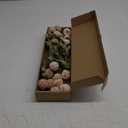 Floroom 5pcs Beige Faux Silk Mums Artificial Flowers, Bulk Fake Small Mini Chrysanthemums with Stems for DIY Champagne Wedding Centerpieces Floral Arrangements Vase Fillers Home Decorations