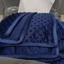 ALANSMA Reversible Weighted Blanket for All Season, Luxury Velvet, Warm and Cool, Adult 5Lb Blue Weighted Blanket, Enjoy Sleeping Anywhere(Blue,36"x48" 5lbs)