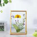 REDHUGO Glass Pressed Flower Frame Handmade, Floating Picture Frames for Pressed Flowers, Tabletop Artwork Photo Frames, Brass Desk Picture Frame for Home Office Plant Specimen, Gold, 4x6 Inches