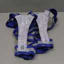 Zacro LED Reflective Vest Running Gear, 5 Lights Colors High Visibility Reflective Running Gear Rechargeable Light Up Running Vest for Walking Running Cycling, Adjustable for Men Women Kids (Blue)