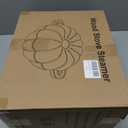 Wood Stove Steamer, Cast Iron Fireplace Humidifier, 2.4 Quart Capacity, Pumpkin Wood Stove and Fireplace Accessories for Decoration and Gifts