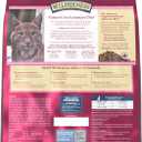 Blue Buffalo Wilderness Natural High Protein, Grain Free Dry Food for Adult Cats, Salmon, 11-lb Bag (EXP 11/04/27)