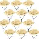 Hicarer 12 Pieces Disposable Plastic Cowboy Hat Set