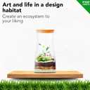 DIY Terrarium Kit for Adults Build Your Own SelfSustaining Closed Ecosystem 34floz (1Liter) Glass Terrarium Succulents, AirPlants, Fittonia, Fern Plants NotIncluded