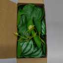 Der Rose 2Pcs Small Fake Plants Artificial Mini Faux Plants for Bathroom Office Desk Shelf Table Accessories Decor Indoor (White)