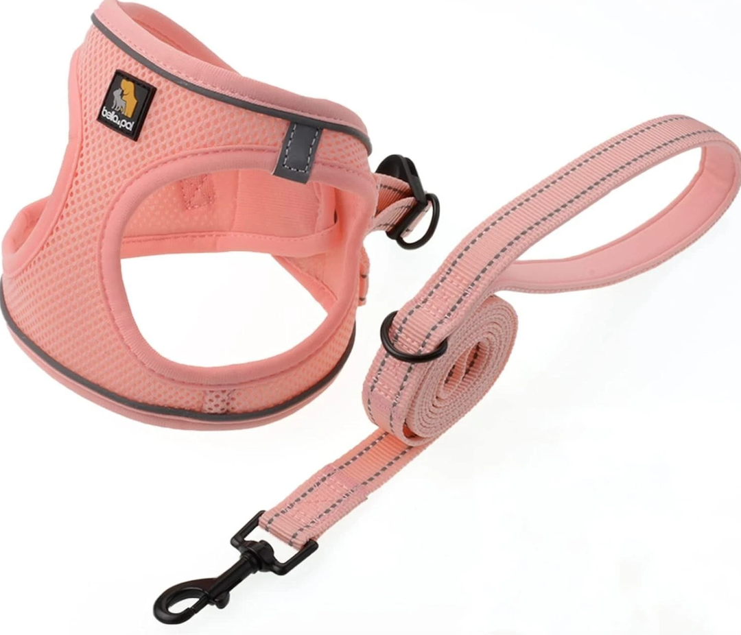 Puppy Harness with Leash Set, Dog Harness for Small Dogs (Pink, Size XS)