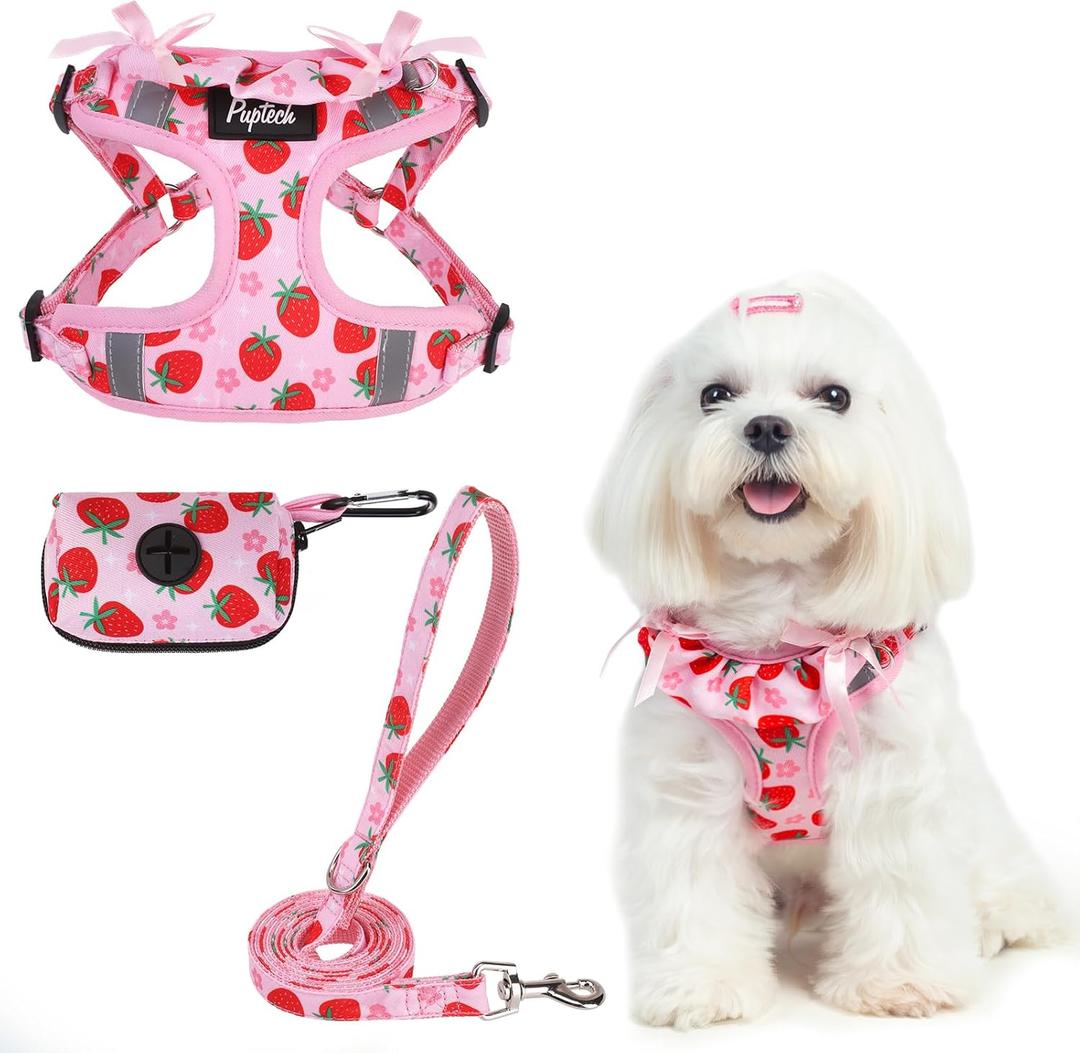 PUPTECK Dog Harness and Leash Set Small Sized, Step in No Pull Adjustable Puppy Cat Harness Reflective Pet Vest (XS (9-13lbs, Chest 14"-16"), #2 Pink(Strawberry Print))