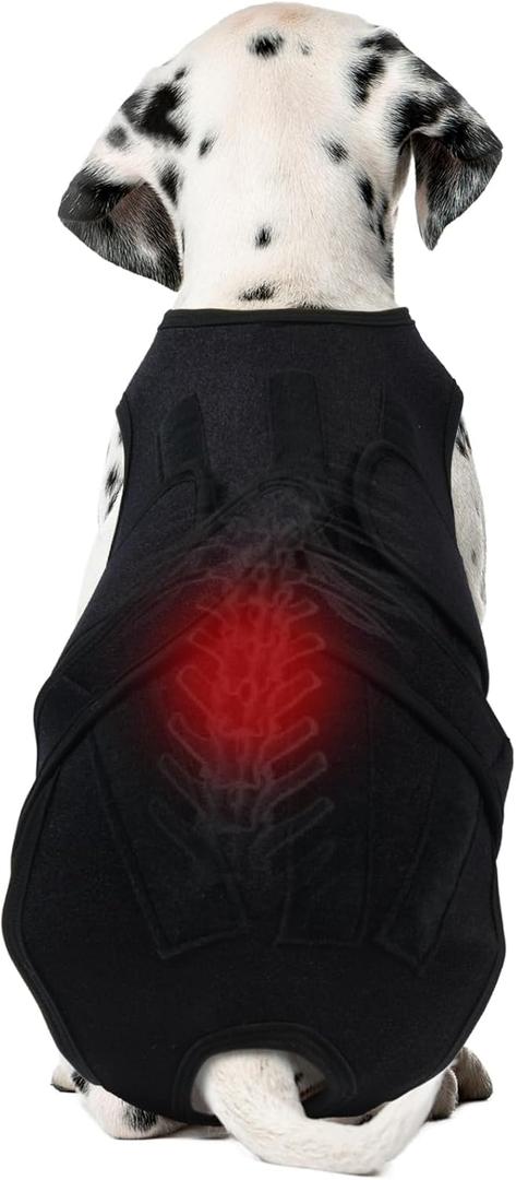 Dog Back Brace for IVDD & Spinal Recovery, Adjustable Breathable Support Vest Dog Lumbar Protector Helps Pain Relief, Pet Surgical Suit for Back Disease Prevention, Black M