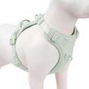 No Pull Dog Harness, Puppy Vest with Front Clip for Small Medium Large Sized Dog(Light Green,L)