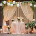 20x10 Champagne Tulle Backdrop Curtains for Parties, Sheer Backdrop Curtain Wedding Photo Backdrop Drapes for Baby Shower Photography Birthday Party