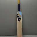 Puma City Cricket Bat - FS (Full Size)