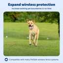 PetSafe Wireless Fence Extra Transmitter, Increase Your Existing Wireless Fence Boundary Pet Containment for Dogs and Cats - from the Parent Company of the Invisible Fence Brand